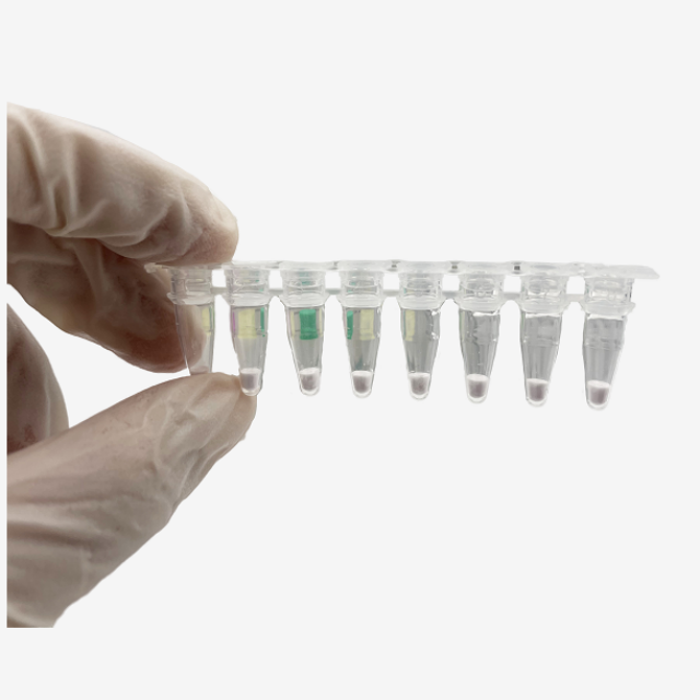 Kit de detección de ácido nucleico liofilizado COVID-19 de alta precisión
