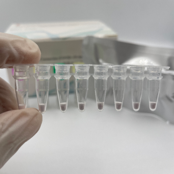 Secado por congelación SARS-CoV-2 (COVID-19) prueba molecular (NAAT) Secado por congelación (método PCR)